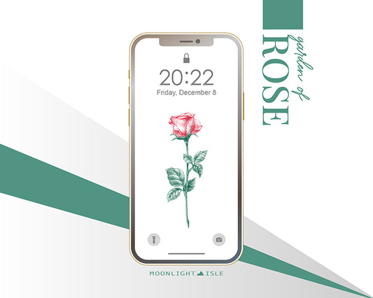 Garden of Rose - White| Phone Wallpaper